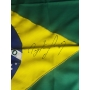 Ayrton Senna Autógrafo - Bandeira do Brasil.