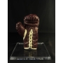Mike Tyson Autógrafo - Luva de Boxe Everlast - Jack Dempsey Edição limitada.