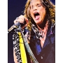 Steven Tyler Autógrafo - Pôster "Ao Vivo".