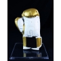 Mike Tyson Autógrafo - Luva de Boxe Everlast.
