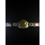 Chuck Liddell Autógrafo - Cinto UFC.