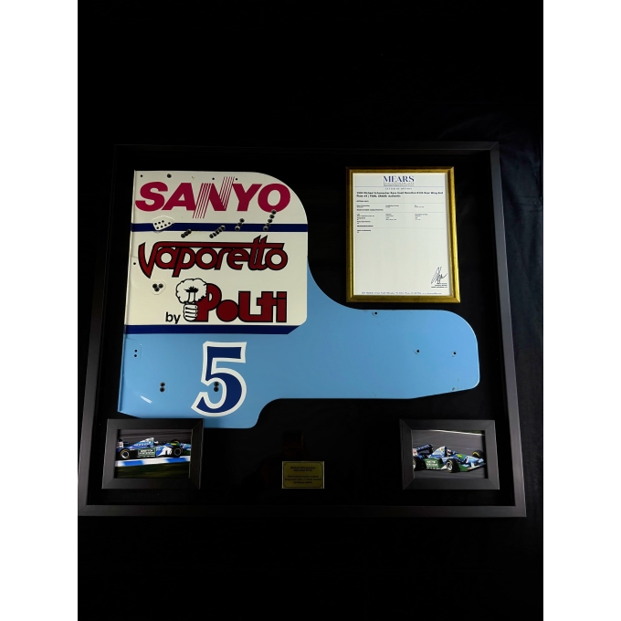 Michael Schumacher "Asa Traseira" Usada em Corrida - 1994 - B194 Rear Wing Endplate.