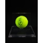 Novak Djokovic Autógrafo - Bola de Tênis.