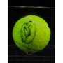 Novak Djokovic Autógrafo - Bola de Tênis.