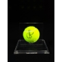 Alexander Zverev Autógrafo - Bola de Tênis.