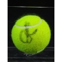 Alexander Zverev Autógrafo - Bola de Tênis.