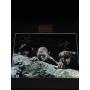 Elijah Wood e Sean Astin - Autógrafos "At the Stairs of Cirith Ungol"