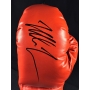 Mike Tyson Autógrafo - Luva de Boxe Everlast.