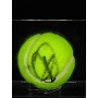 Novak Djokovic Autógrafo - Bola de Tênis.