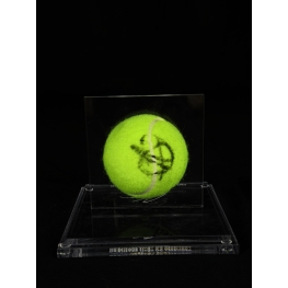 Novak Djokovic Autógrafo - Bola de Tênis.