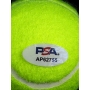 Novak Djokovic Autógrafo - Bola de Tênis.