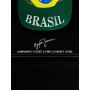 Ayrton Senna Autógrafo - Boné "Bandeira Brasil.