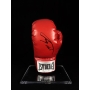 Larry Holmes Autógrafo - Luva Everlast.