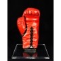 Larry Holmes Autógrafo - Luva Everlast.
