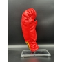Luva de boxe Everlast assinada por Quinton "Rampage" Jackson