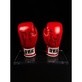 SYLVESTER STALLONE AUTÓGRAFO DUPLO - LUVA DE BOXE - ROCKY E SYLVESTER.