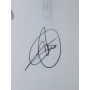 NOVAK DJOKOVIC AUTÓGRAFO - CAMISA LACOSTE BRANCA - ENQUADRADA