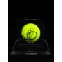 NOVAK DJOKOVIC AUTÓGRAFO - BOLA DE TÊNIS