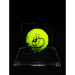 NOVAK DJOKOVIC AUTÓGRAFO - BOLA DE TÊNIS