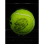 NOVAK DJOKOVIC AUTÓGRAFO - BOLA DE TÊNIS
