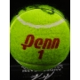 ROGER FEDERER AUTÓGRAFO - BOLA DE TÊNIS