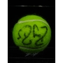 ROGER FEDERER AUTÓGRAFO - BOLA DE TÊNIS