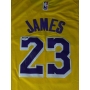 Camiseta de Basquetebol da Lendária equipe do Lakers, autografada por Lebron James.