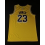 Camiseta de Basquetebol da Lendária equipe do Lakers, autografada por Lebron James.