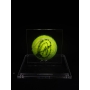 NOVAK DJOKOVIC AUTÓGRAFO - BOLA DE TÊNIS