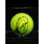 NOVAK DJOKOVIC AUTÓGRAFO - BOLA DE TÊNIS