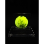 RAFAEL NADAL AUTÓGRAFO - BOLA DE TÊNIS