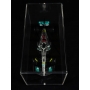 LEWIS HAMILTON AUTÓGRAFO - ACRÍLICO COM MINIATURA MERCEDES