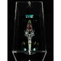 LEWIS HAMILTON AUTÓGRAFO - ACRÍLICO COM MINIATURA MERCEDES