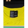 MÚLTIPLOS AUTÓGRAFOS - CAMISA SENNA FOREVER 30 YEARS