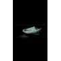 ZLATAN IBRAHIMOVIC AUTÓGRAFO - CHUTEIRA NIKE