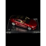 Elon Musk Autógrafo – Miniatura Tesla Model S