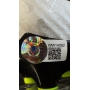 RONALDO NAZÁRIO, "O FENÔMENO" AUTÓGRAFO - CHUTEIRA NIKE