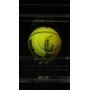 NOVAK DJOKOVIC AUTÓGRAFO - BOLA DE TÊNIS