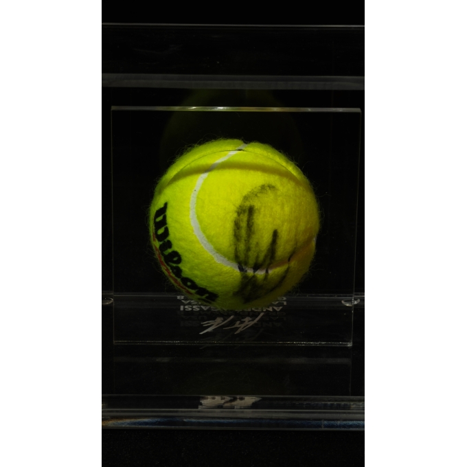 NOVAK DJOKOVIC AUTÓGRAFO - BOLA DE TÊNIS