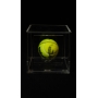 NOVAK DJOKOVIC AUTÓGRAFO - BOLA DE TÊNIS