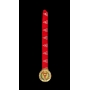 MEDALHA OFICIAL CAMPEONATO MINEIRO 2009 – THIAGO RIBEIRO