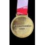 MEDALHA OFICIAL CAMPEONATO MINEIRO 2009 – THIAGO RIBEIRO