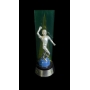 TROFÉU PRÊMIO CRAQUE BRASILEIRÃO 2010 – ATACANTE PRATA – THIAGO RIBEIRO