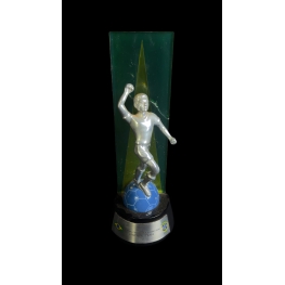 TROFÉU PRÊMIO CRAQUE BRASILEIRÃO 2010 – ATACANTE PRATA – THIAGO RIBEIRO