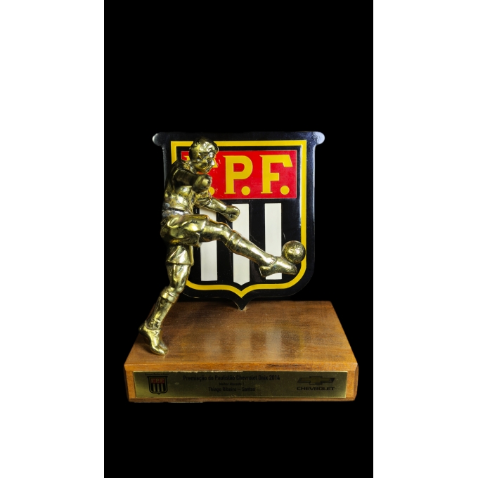 TROFÉU MELHOR ATACANTE DO PAULISTÃO 2014 – THIAGO RIBEIRO