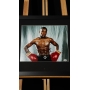 FLOYD MAYWEATHER JR. AUTÓGRAFO - FOTO EMOLDURADA