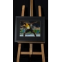 USAIN BOLT AUTÓGRAFO - FOTO RIO 2016 EMOLDURADA