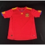 Camiseta da seleção da Espanha autografada por David Villa.
