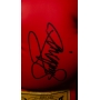 MANNY PACQUIAO AUTÓGRAFO - LUVA DE BOXE EVERLAST