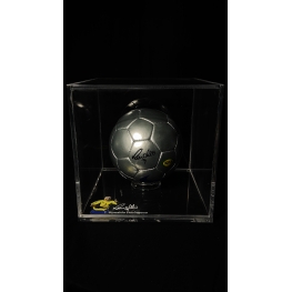 RONALDO FENÔMENO AUTÓGRAFO - BOLA DE FUTEBOL NIKE